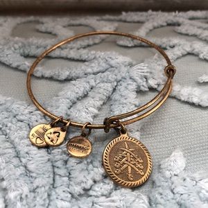 Alex and Ani bracelet Seven Swords